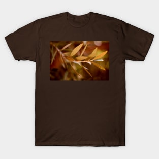 Visible Peace - an Olive Branch T-Shirt